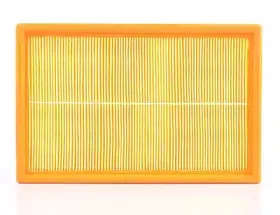 Воздушный фильтр BSG купить